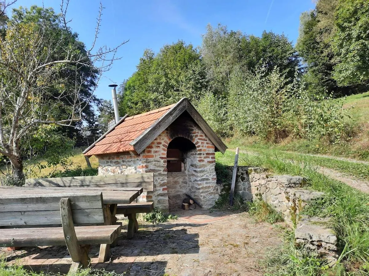 Kas Alm Am Grandsberg Villa Schwarzach 0*,