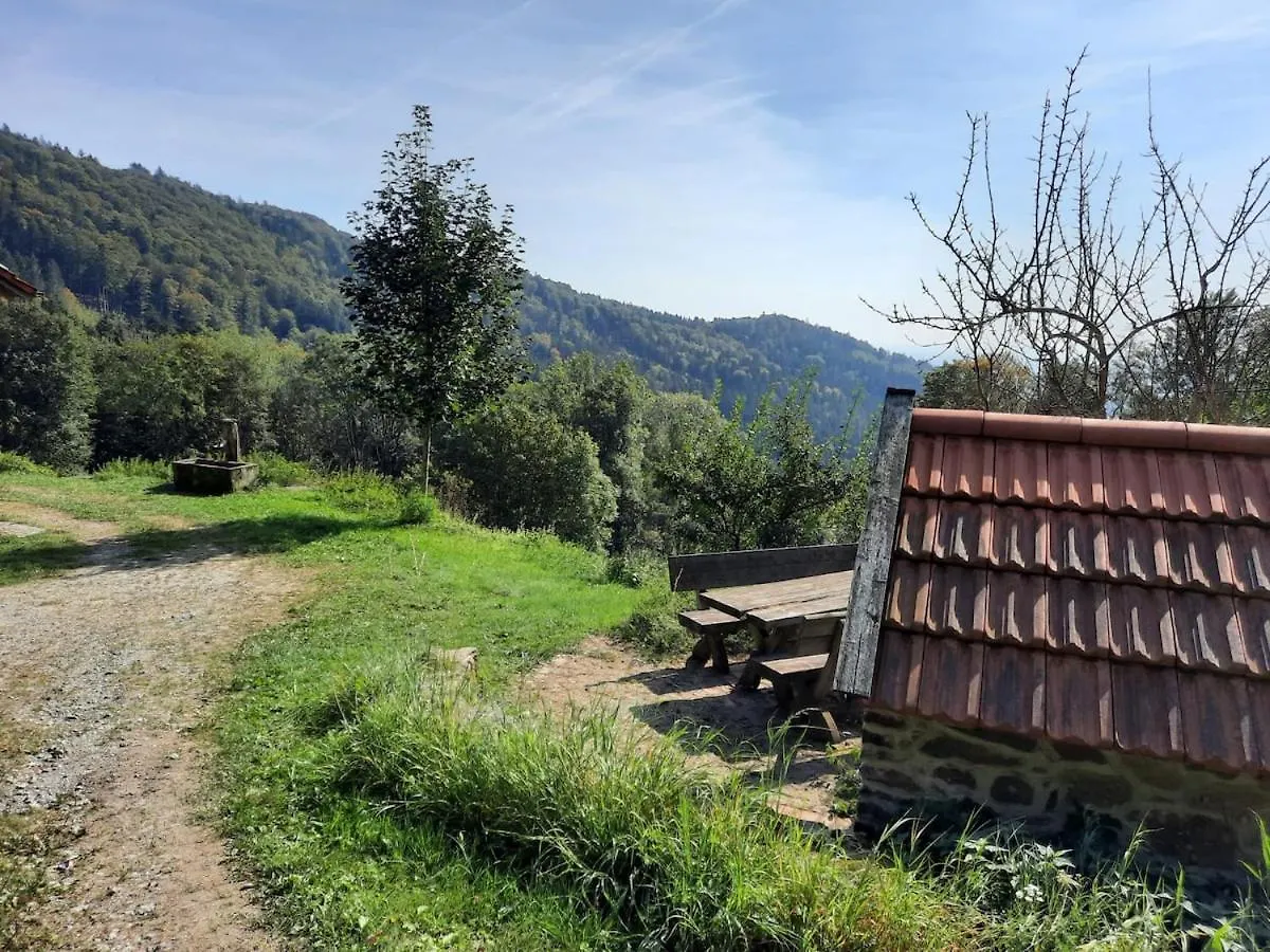 Holiday home Kas Alm Am Grandsberg Villa Schwarzach